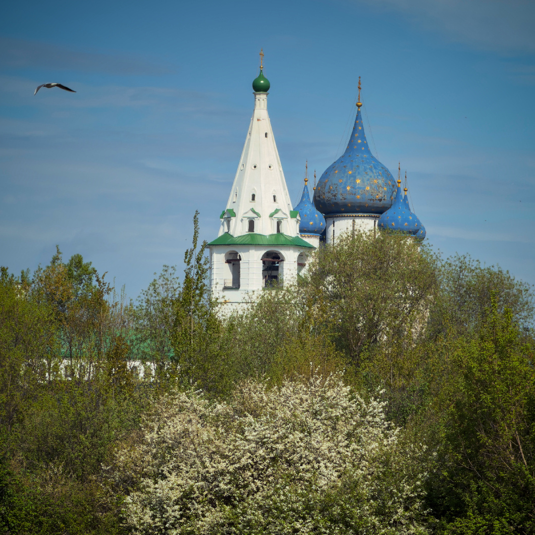 Собор Рождества Пресвятой Богородицы